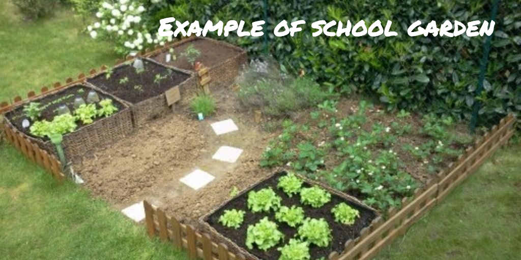 Example of school garden